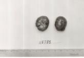 Click for 1 image(s) for this accession. FRUIT